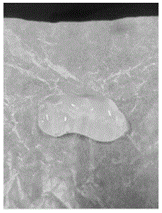 Preparation method for novel rare-earth fluorescent gel adopting PVA as main body and application thereof