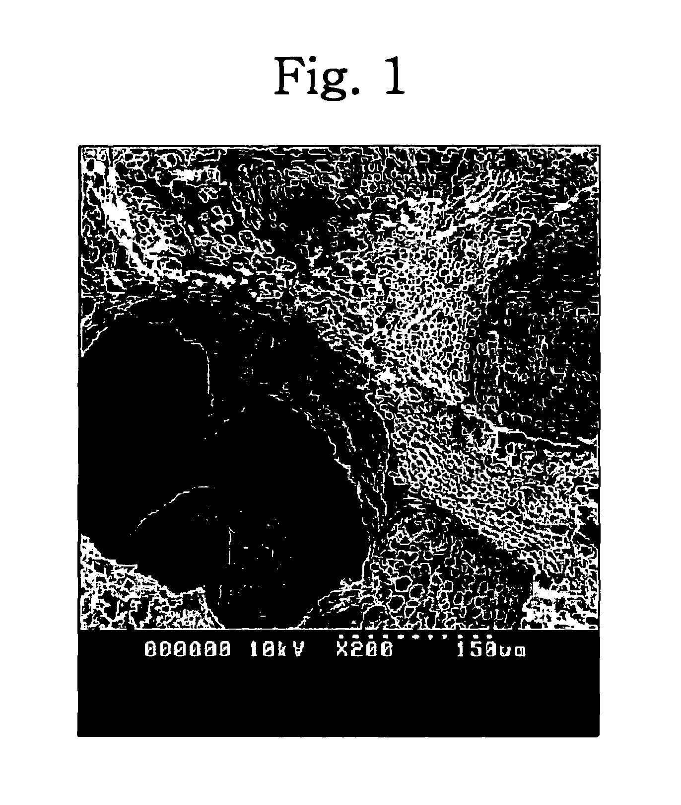 Method of preparing biodegradable dual pore polymer scaffolds for tissue engineering