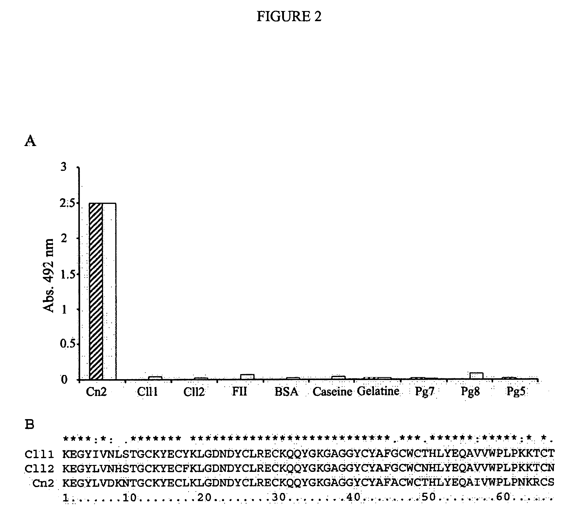 Human antibodies that specifically recognize the toxin Cn2 from Centruroides noxius scorpion venom