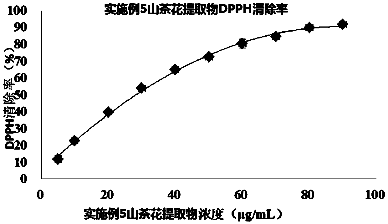 Camellia extract as well as preparation method and application thereof, and cosmetic containing camellia extract