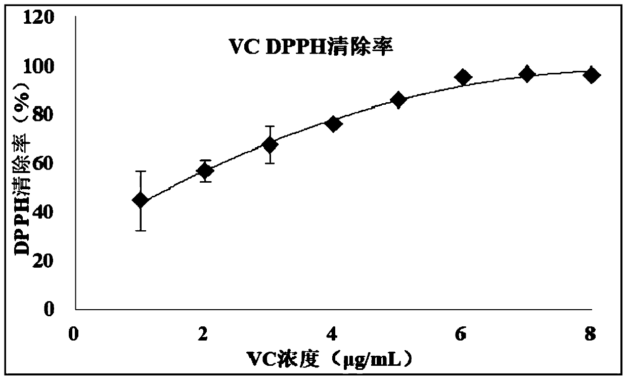 Camellia extract as well as preparation method and application thereof, and cosmetic containing camellia extract