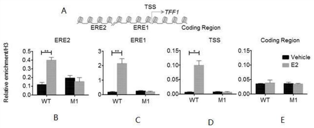 Novel proto-oncoprotein SET inhibitor and fusion polypeptide and application thereof