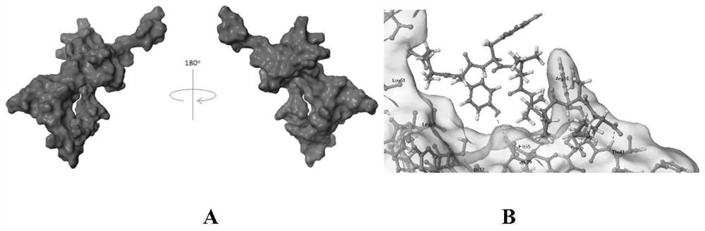 Novel proto-oncoprotein SET inhibitor and fusion polypeptide and application thereof