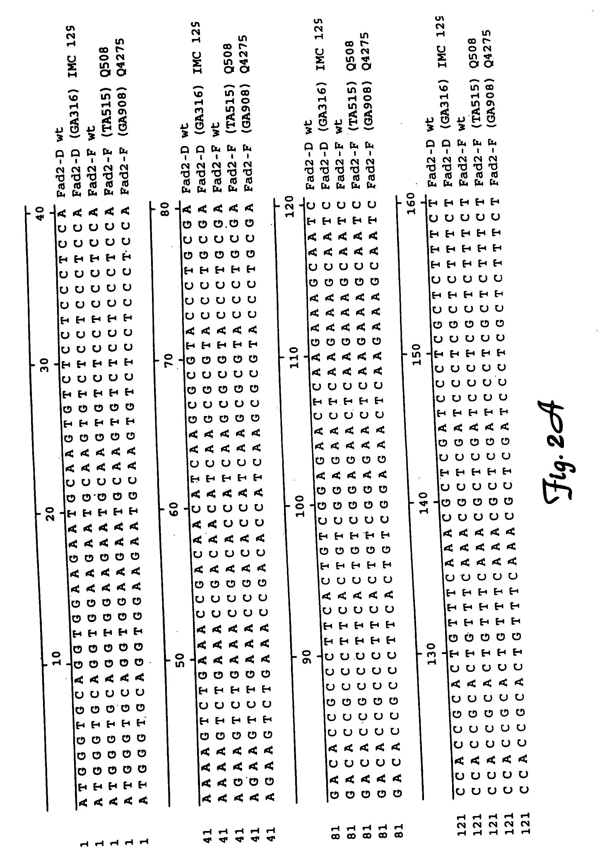 Fatty acid desaturases and mutant sequences thereof