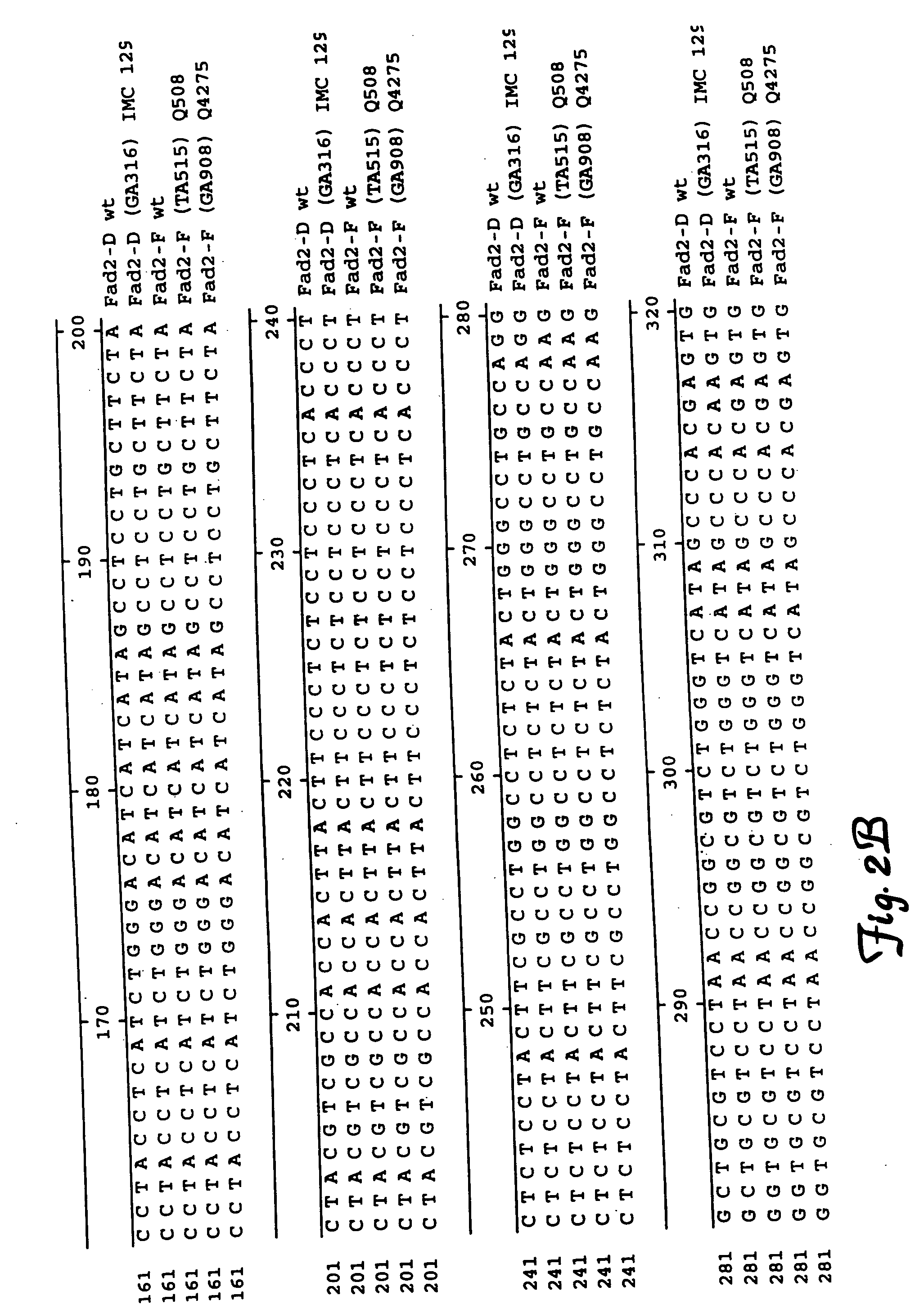 Fatty acid desaturases and mutant sequences thereof