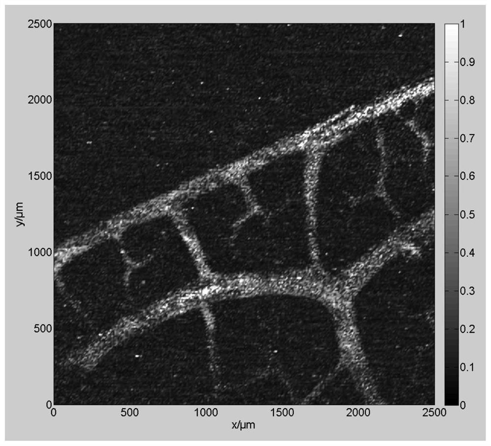 A non-contact all-optical photoacoustic imaging device and method thereof