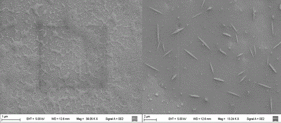 Preparation and application of CdS-PAMAM nanocomposite in detecting Cu2+