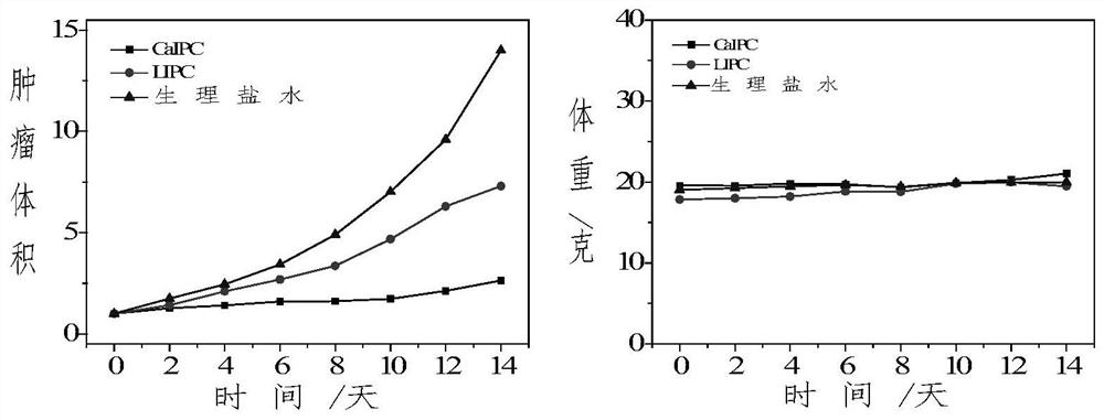 Preparation and application of a nano-immune preparation based on porous calcium carbonate