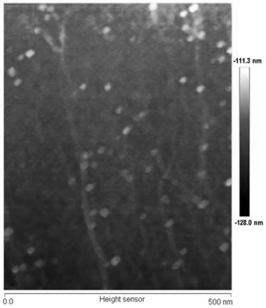 Method for rapidly detecting SARS-CoV-2 based on DNA nano-scaffold