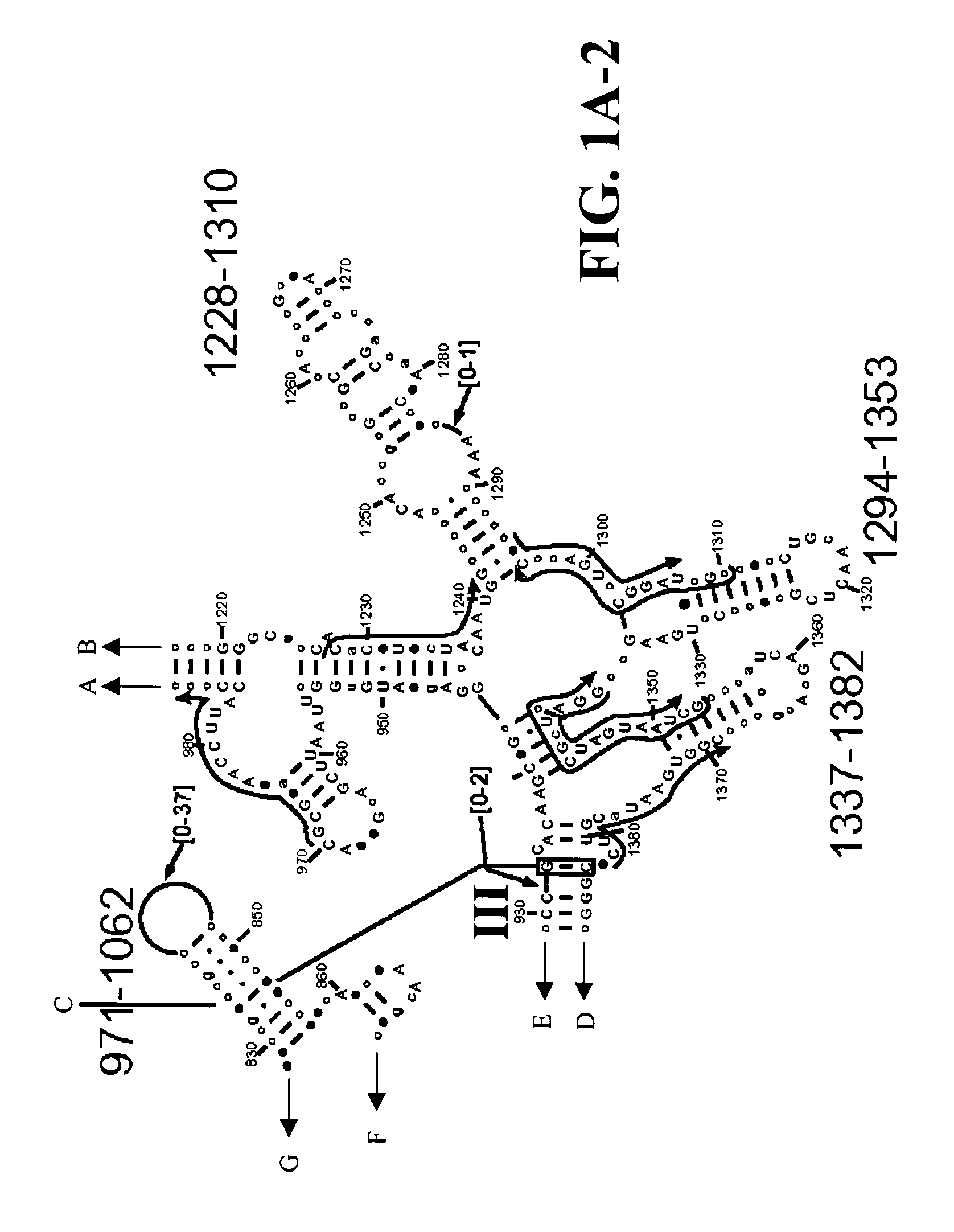 Methods for rapid detection and identification of bioagents for environmental and product testing