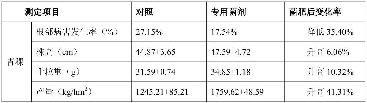 Special growth-promoting and pathogenic-bacterium-preventing agent for barley crops as well as preparation method and application of special growth-promoting and pathogenic-bacterium-preventing agent