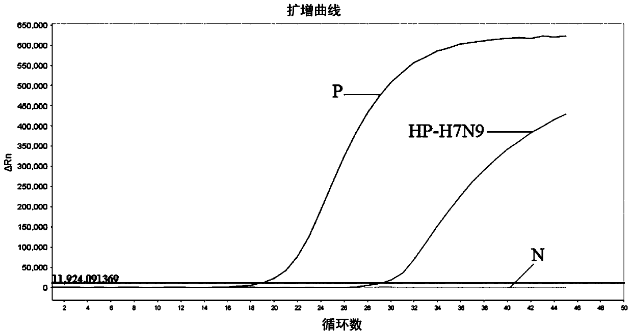 Fluorescent RT-PCR primer, probe and method for detecting highly pathogenic H7N9 avian influenza virus