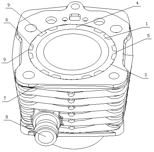Water-cooled engine block