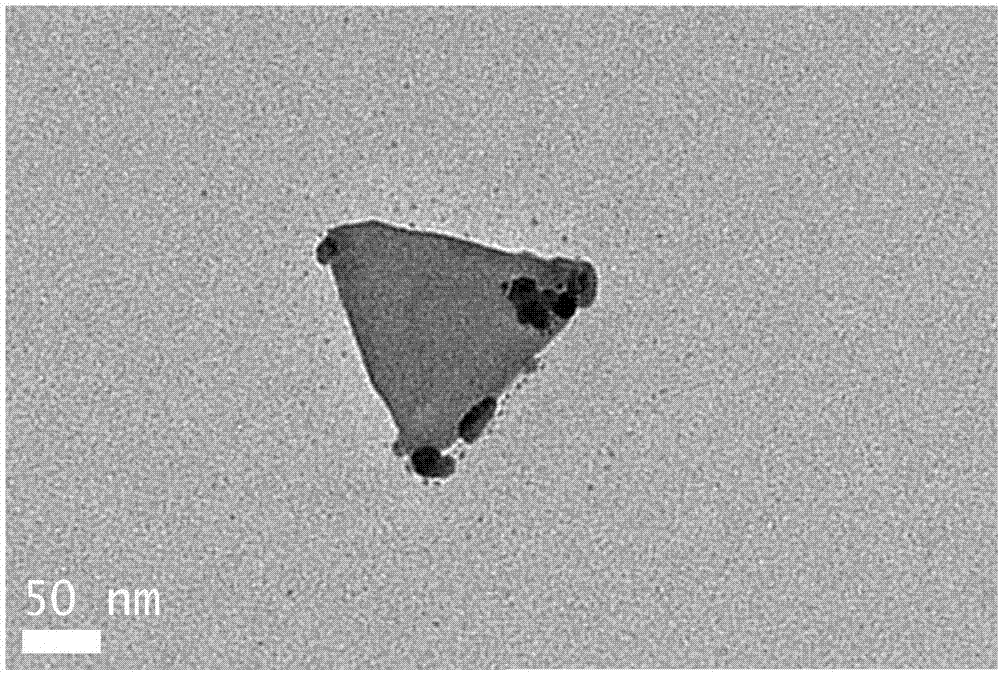 Flaky triangular silver nanoparticle antibacterial suspension as well as preparation method and application thereof