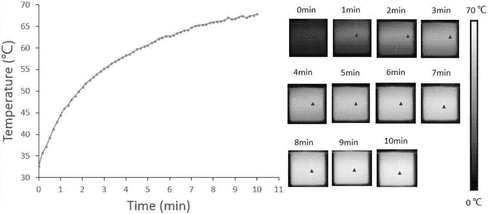 Flaky triangular silver nanoparticle antibacterial suspension as well as preparation method and application thereof