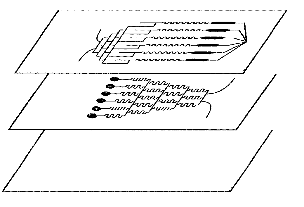 Integrated micro-fluidic chip used for fluorescence detection of enzyme catalysis product and application thereof