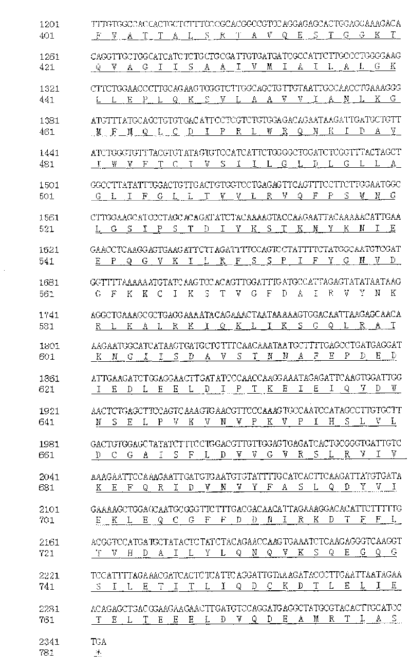 Kit for detecting 227C&gt;T mutation of vestibule water conduit enlargement interrelated gene SLC26A4