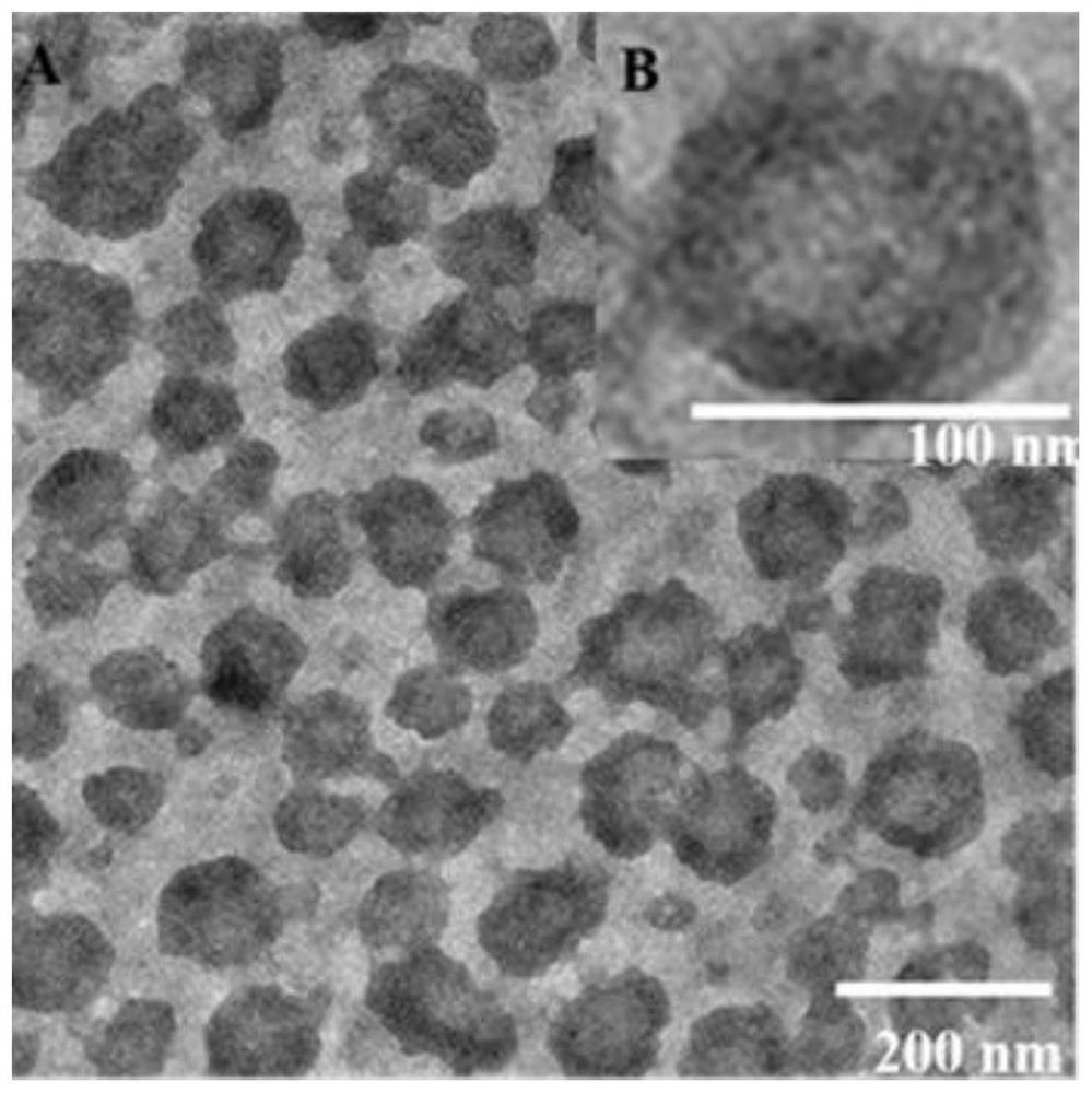 Method for monitoring mRNA (messenger ribonucleic acid) in breast cancer cells based on fluorescence imaging of DNA (deoxyribonucleic acid) five-