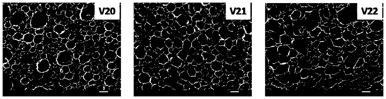 PVA foaming material and foaming method thereof
