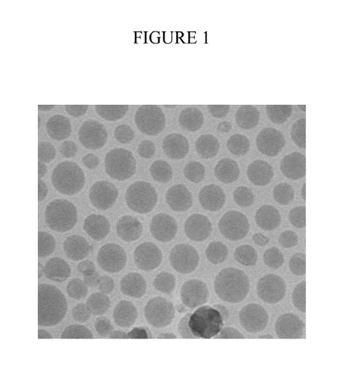 Compositions and methods for delivering messenger RNA