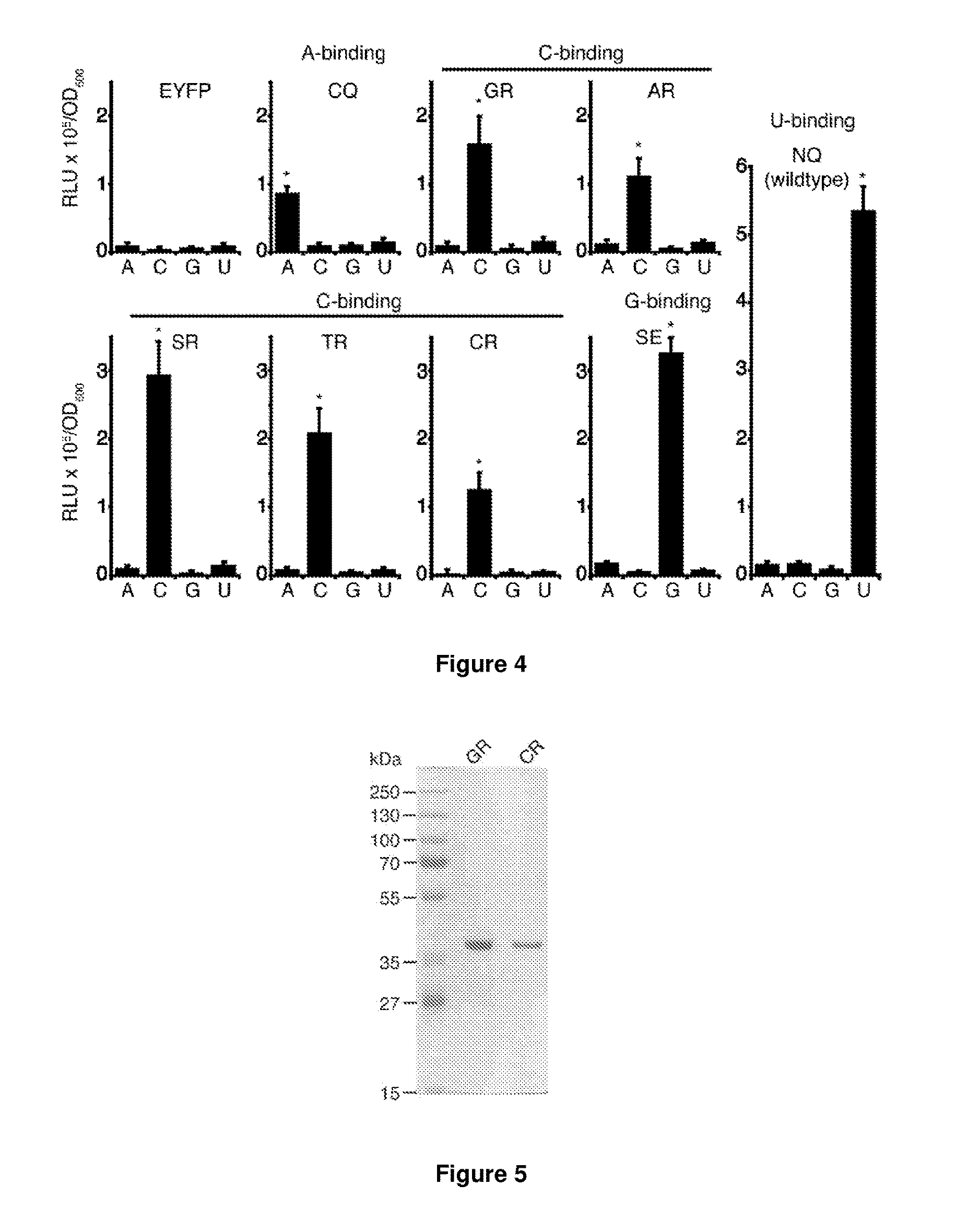 Peptides for the specific binding of RNA targets