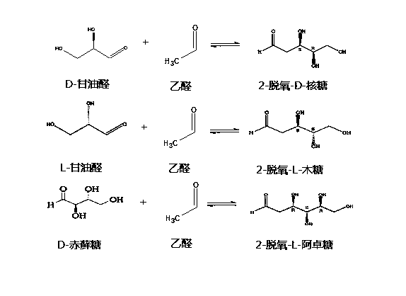 Biosynthesis method of 2-deoxy scarce aldose by using aldolase