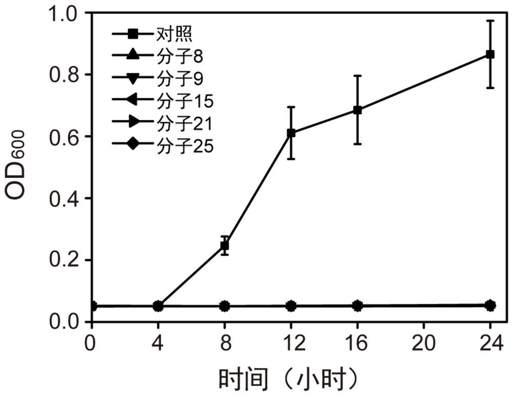 Application of a kind of multi-armed AIE molecule in the preparation of antibacterial drugs and antibacterial drugs