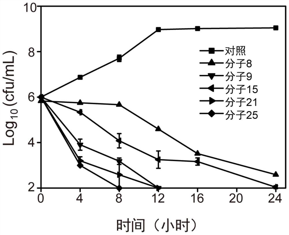 Application of a kind of multi-armed AIE molecule in the preparation of antibacterial drugs and antibacterial drugs