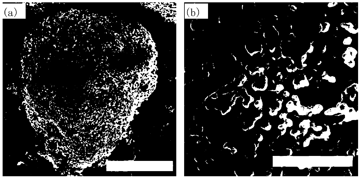 A kind of lithium-ion battery porous germanium negative electrode material and its preparation method and application