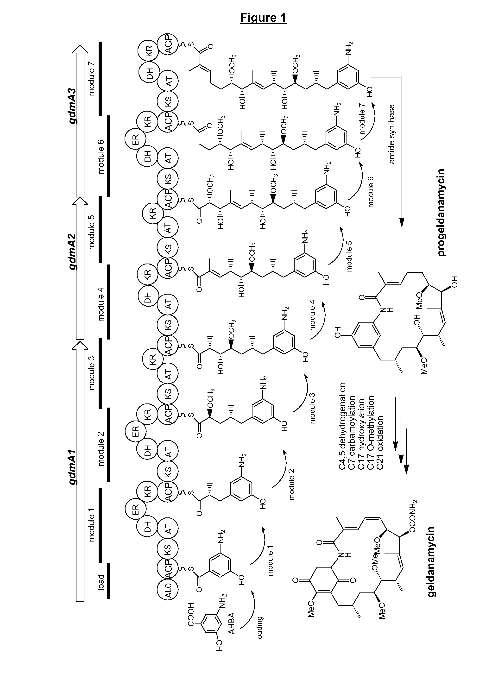 Compounds and methods for their production