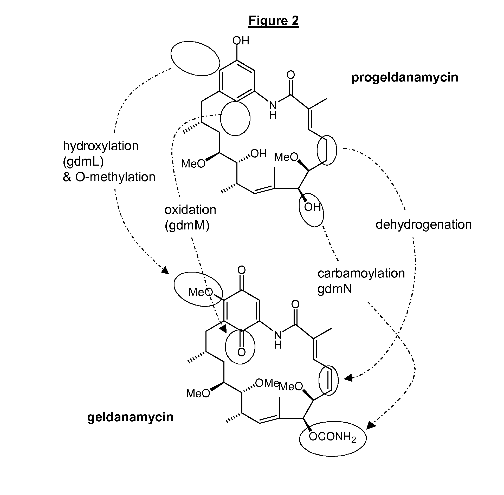 Compounds and methods for their production