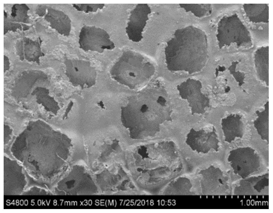 A kind of bioactive porous polyetheretherketone and its preparation method and application