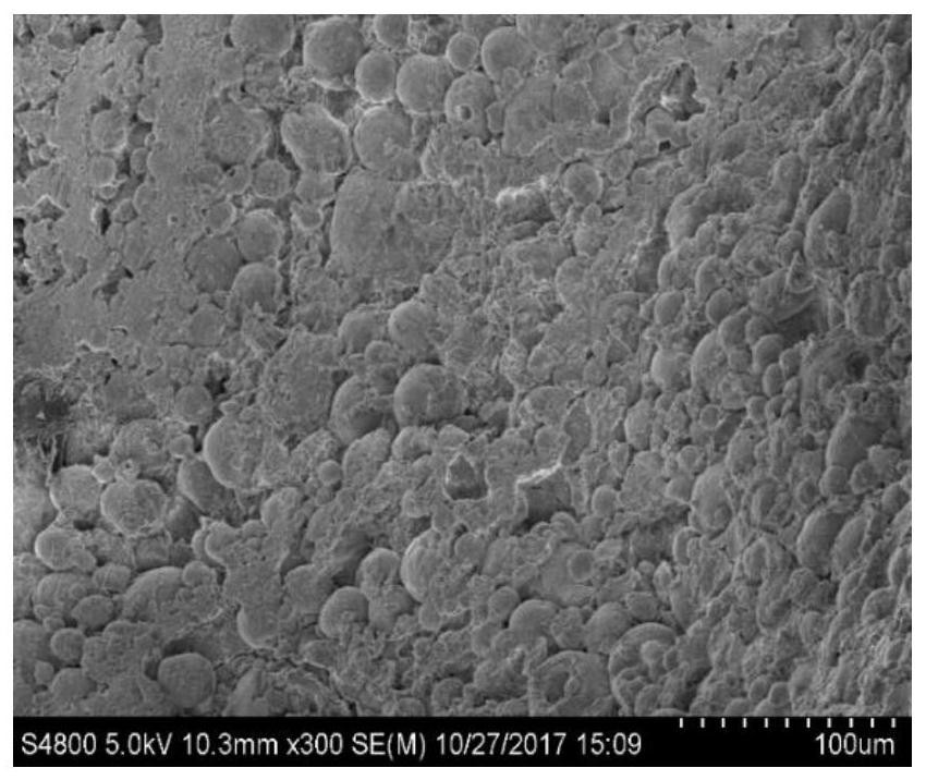 A kind of bioactive porous polyetheretherketone and its preparation method and application