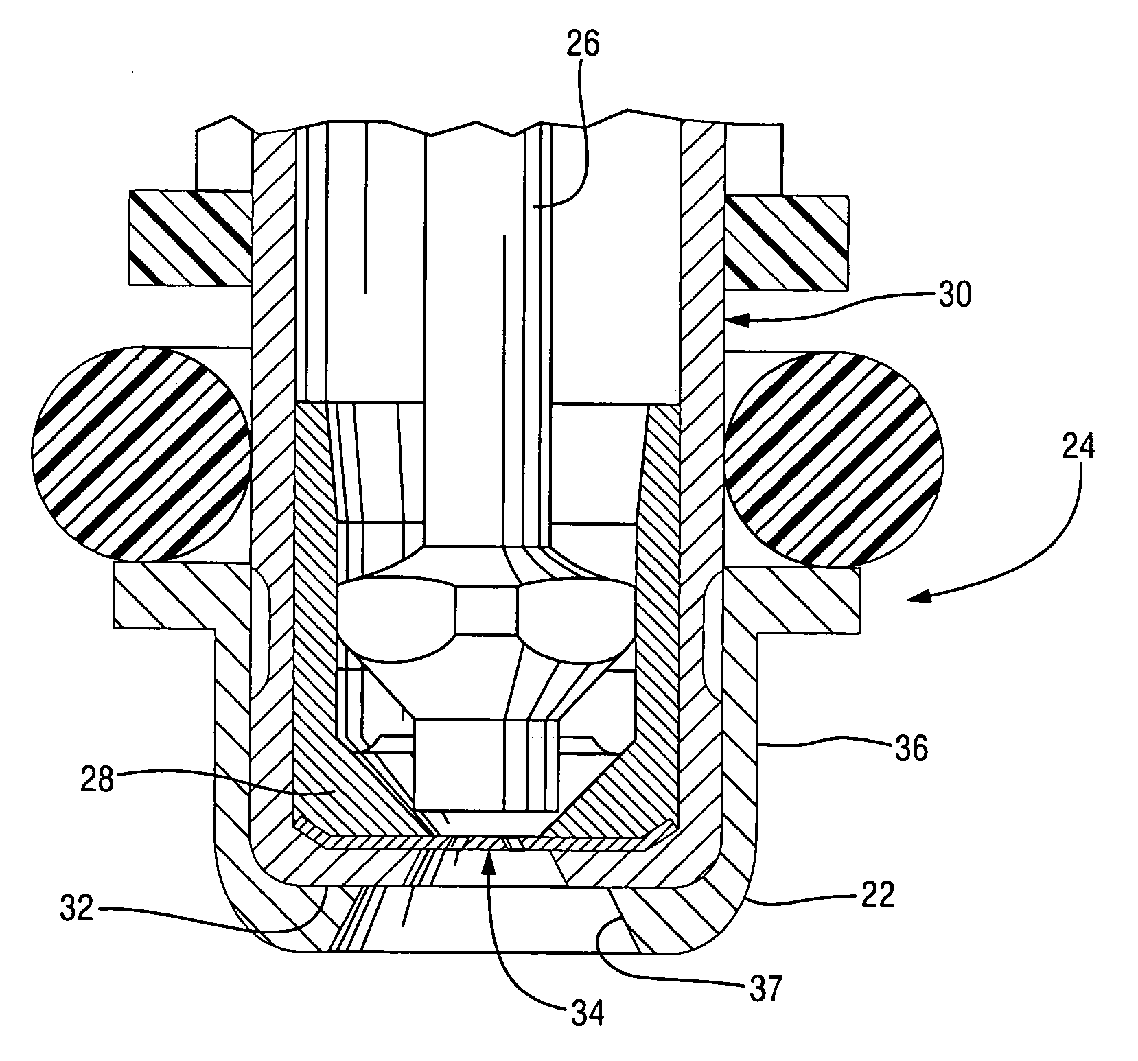 Injector with fuel deposit-resistant director plate