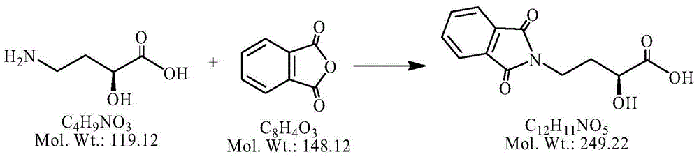 Method for increasing yield of amikacin