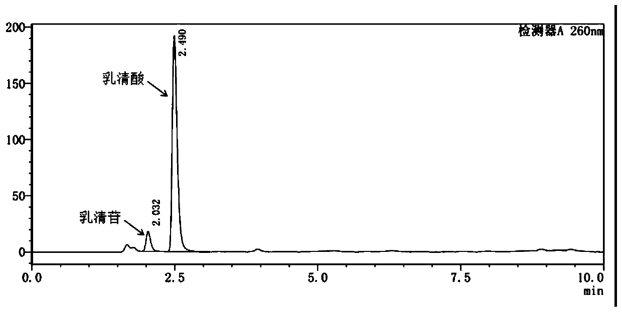 Recombinant microorganisms for producing orotic acid and method thereof