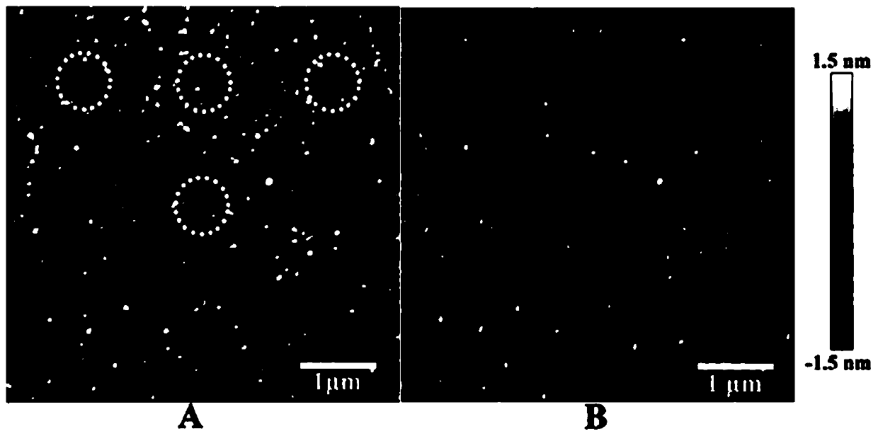 Processing method of binary transition metal oxide film nanometer patterns