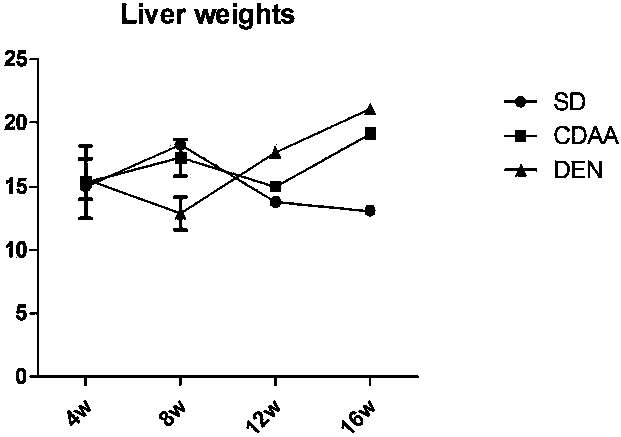 Rat culture method for transforming nonalcoholic steatohepatitis into hepatocellular carcinoma and application of method