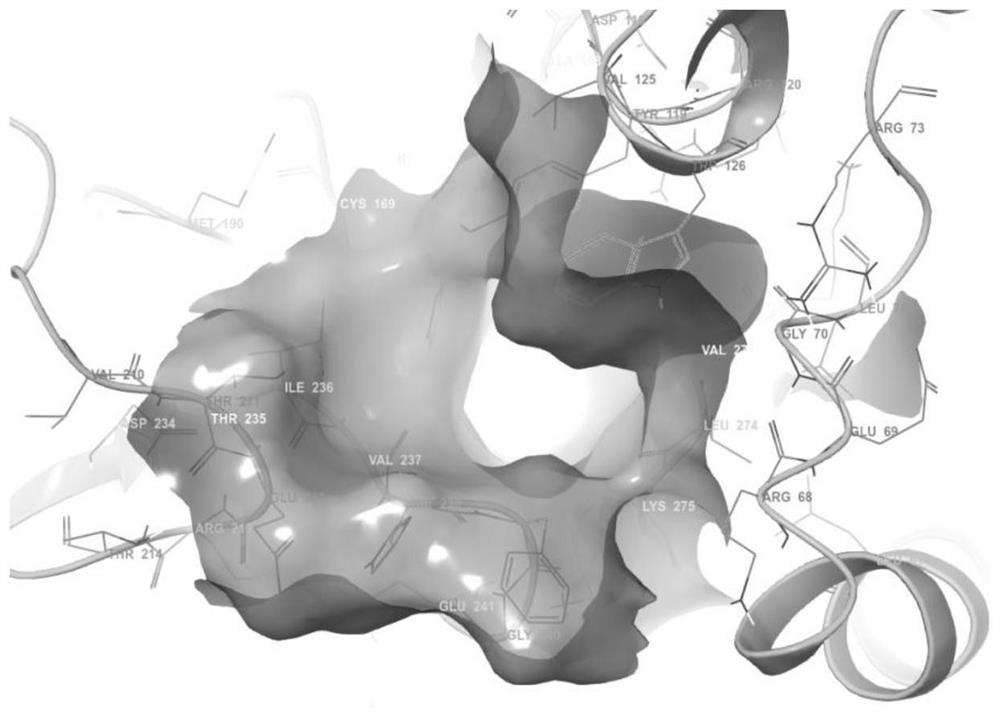 Application of novel epigenetic factor inhibitor 40569Z to preparation of liver cancer drugs