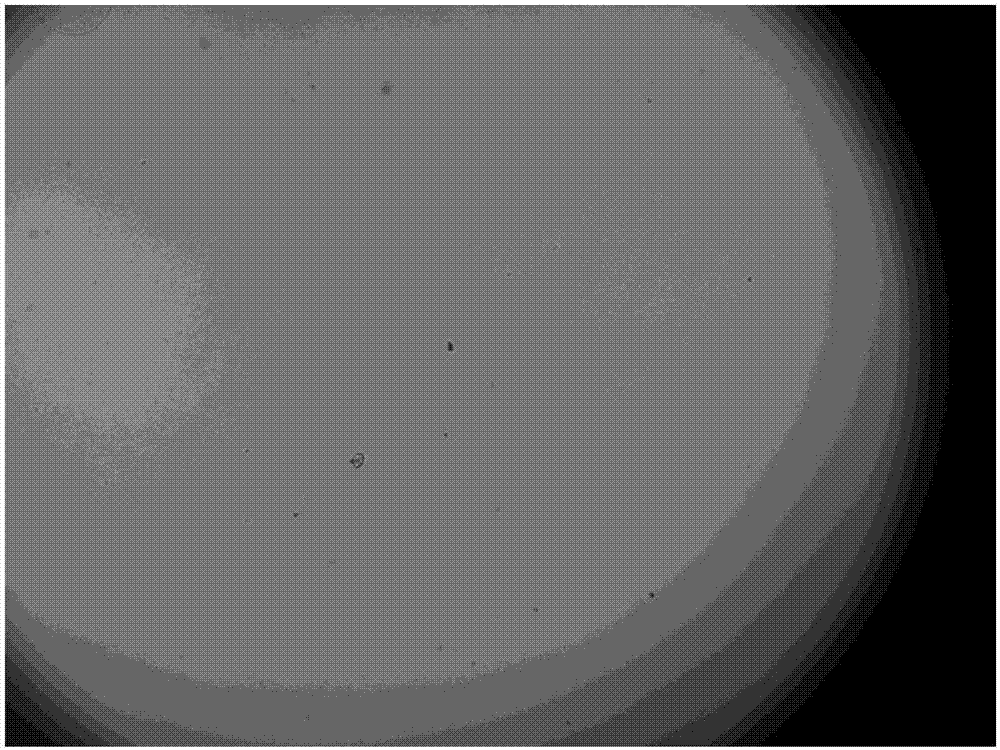 On-line image analysis-based focusing method of laser direct writing system