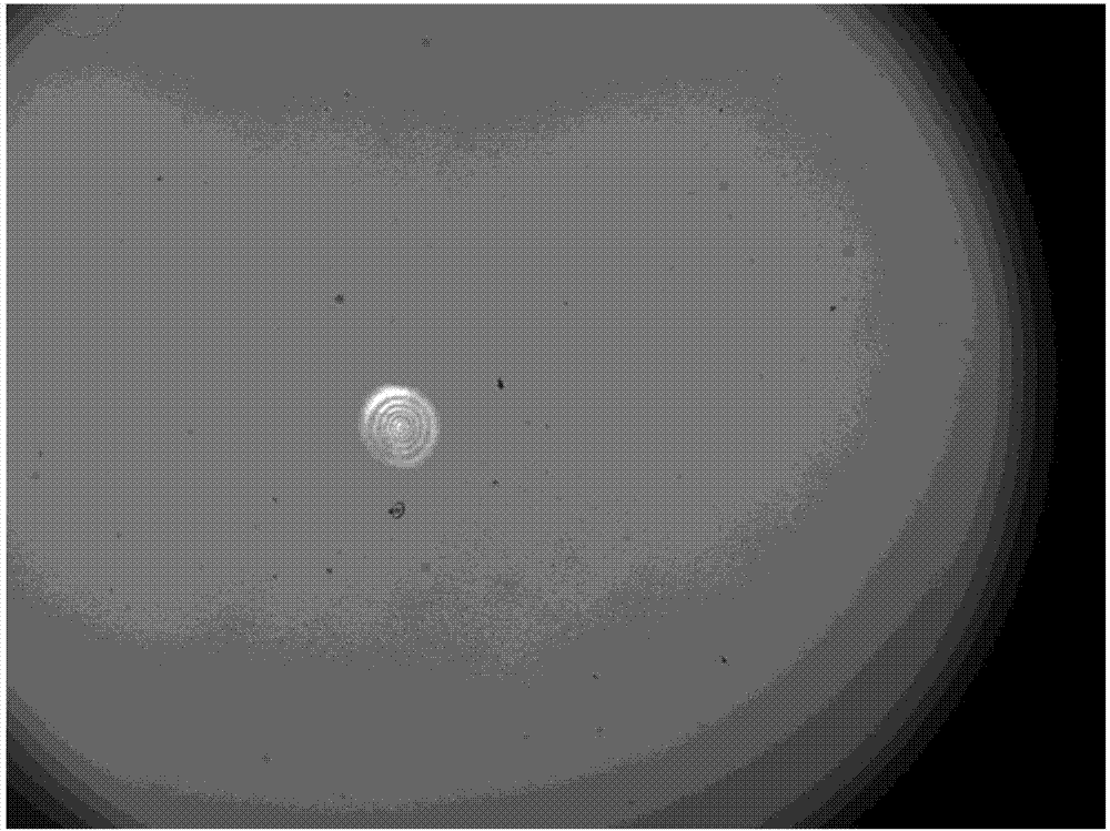 On-line image analysis-based focusing method of laser direct writing system