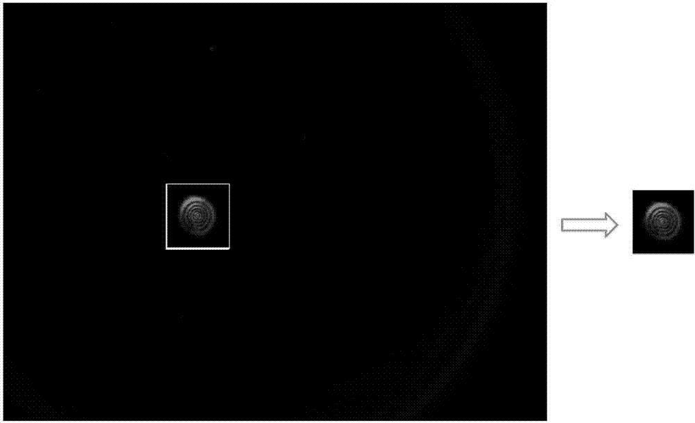 On-line image analysis-based focusing method of laser direct writing system