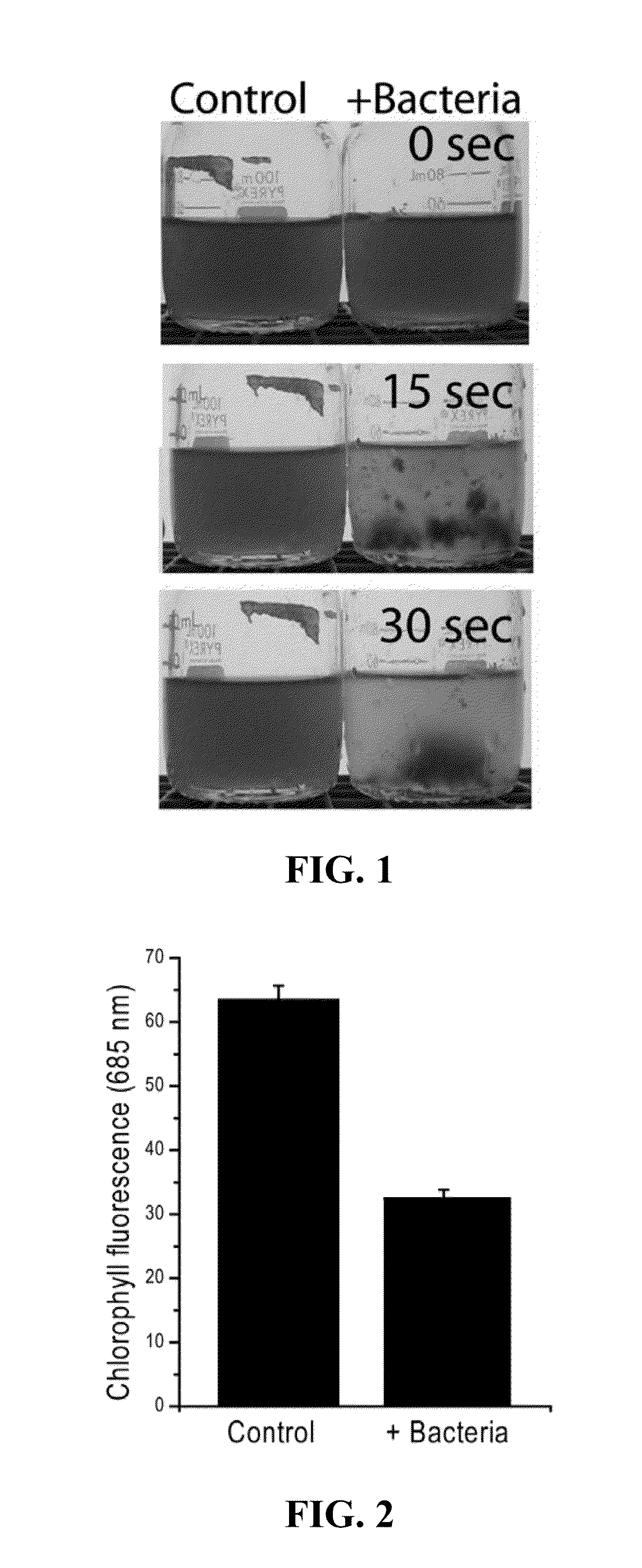 Compositions and Methods for Collecting Algae