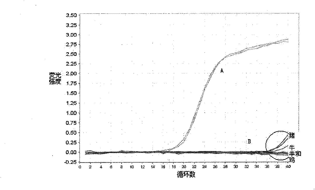 Method for detecting duck-derived component in food through fluorescent real-time PCR method