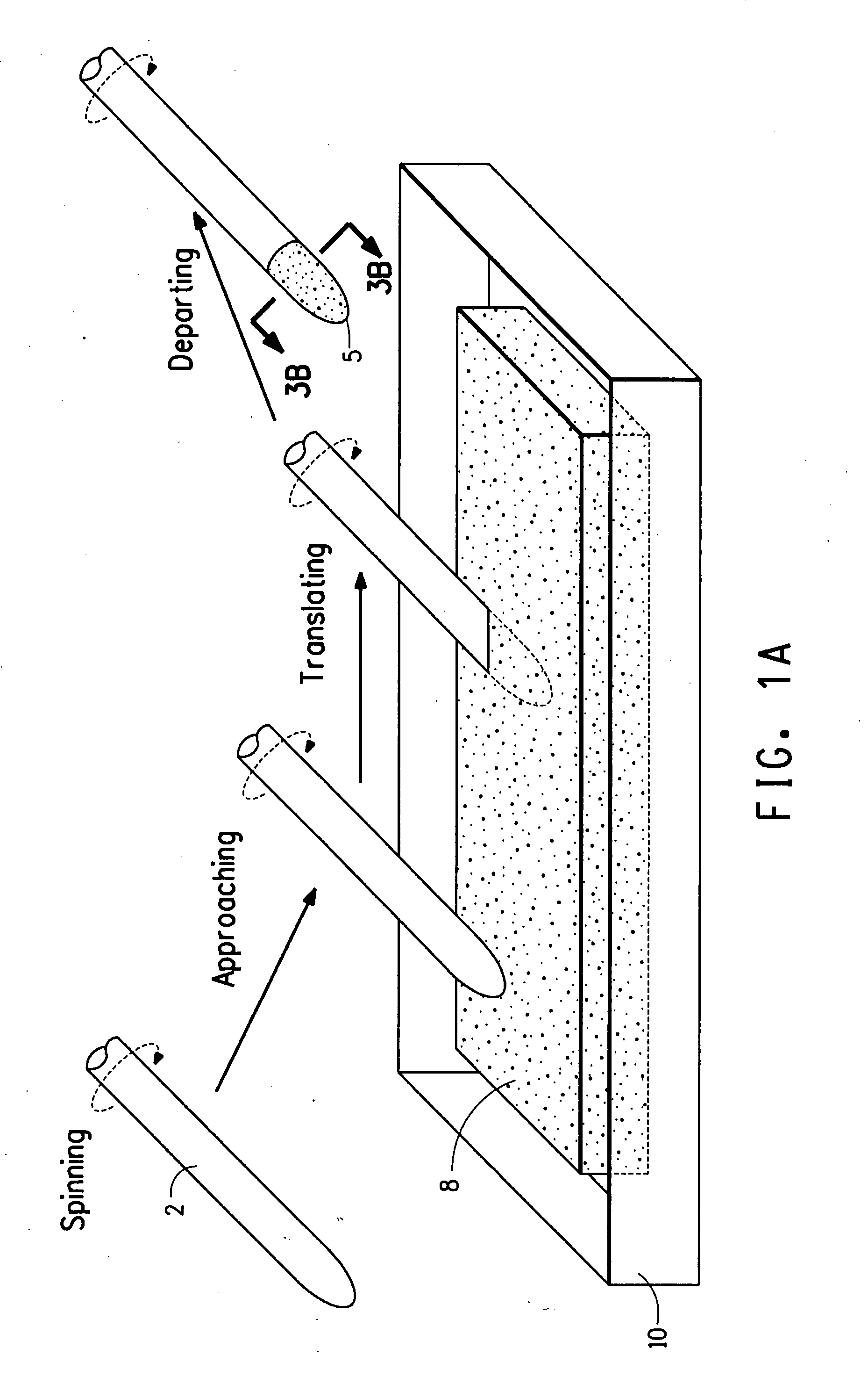 Method of forming an external electrode fluorescent lamp, thick film electrode compositions used therein, and lamps and LCD devices formed thereof