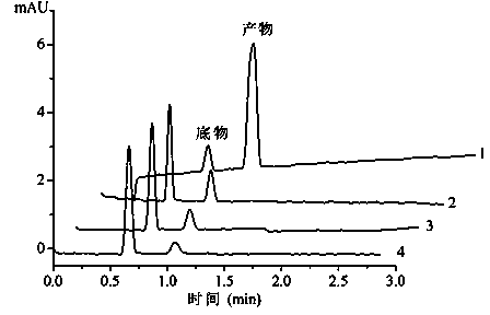 Preparation method of in-capillary immobilized enzyme microreactor