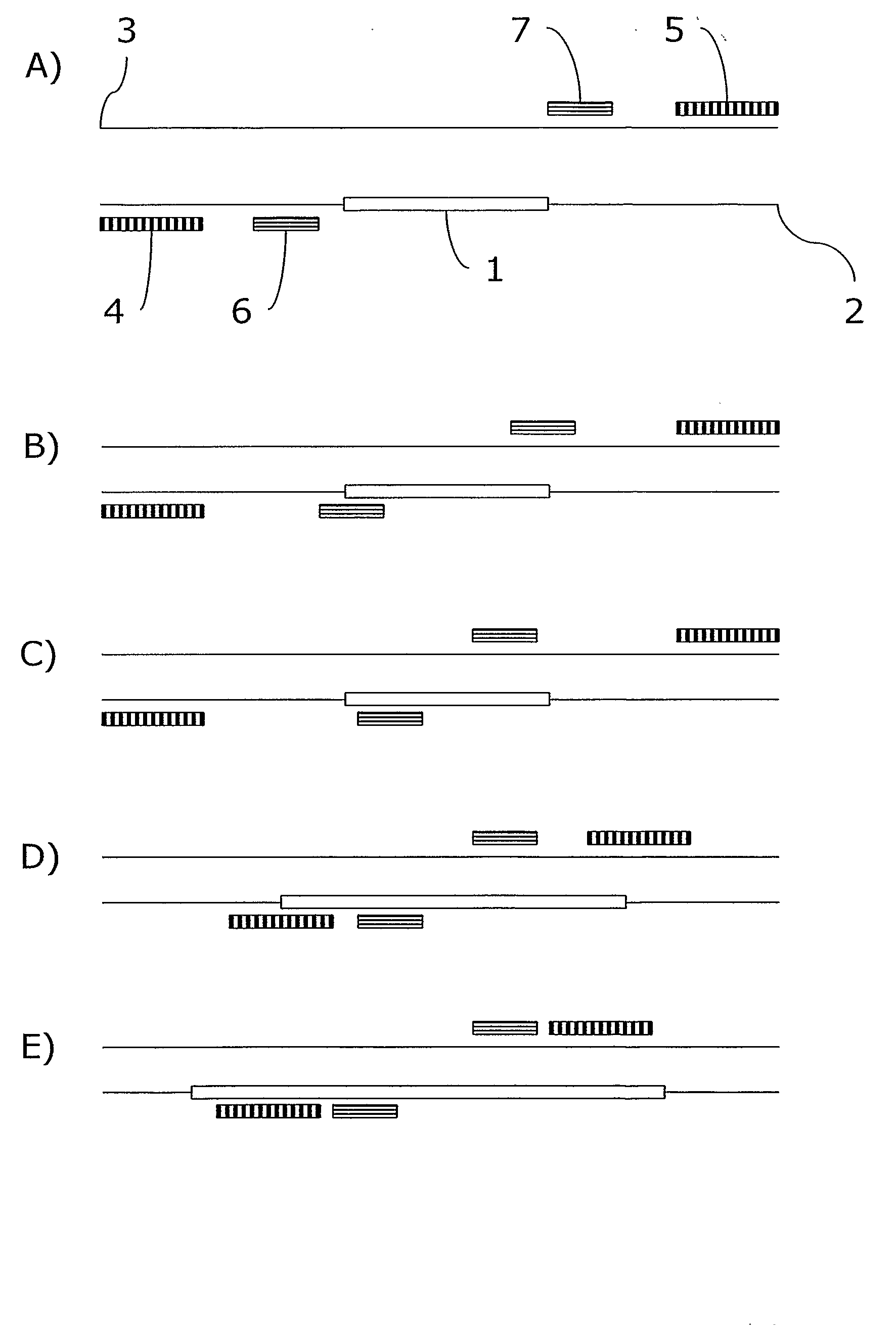 Method, Kit and System for Enhanced Nested Pcr
