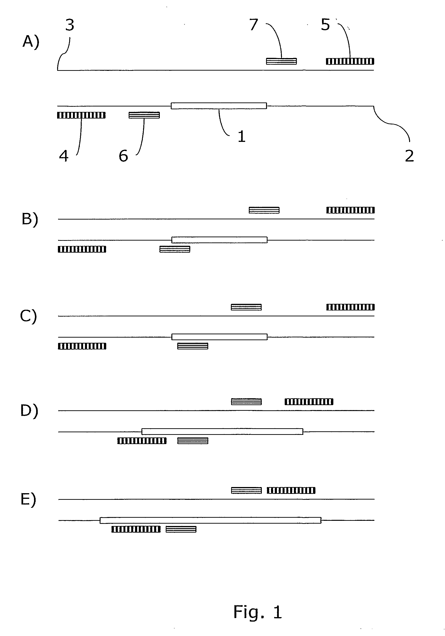 Method, Kit and System for Enhanced Nested Pcr