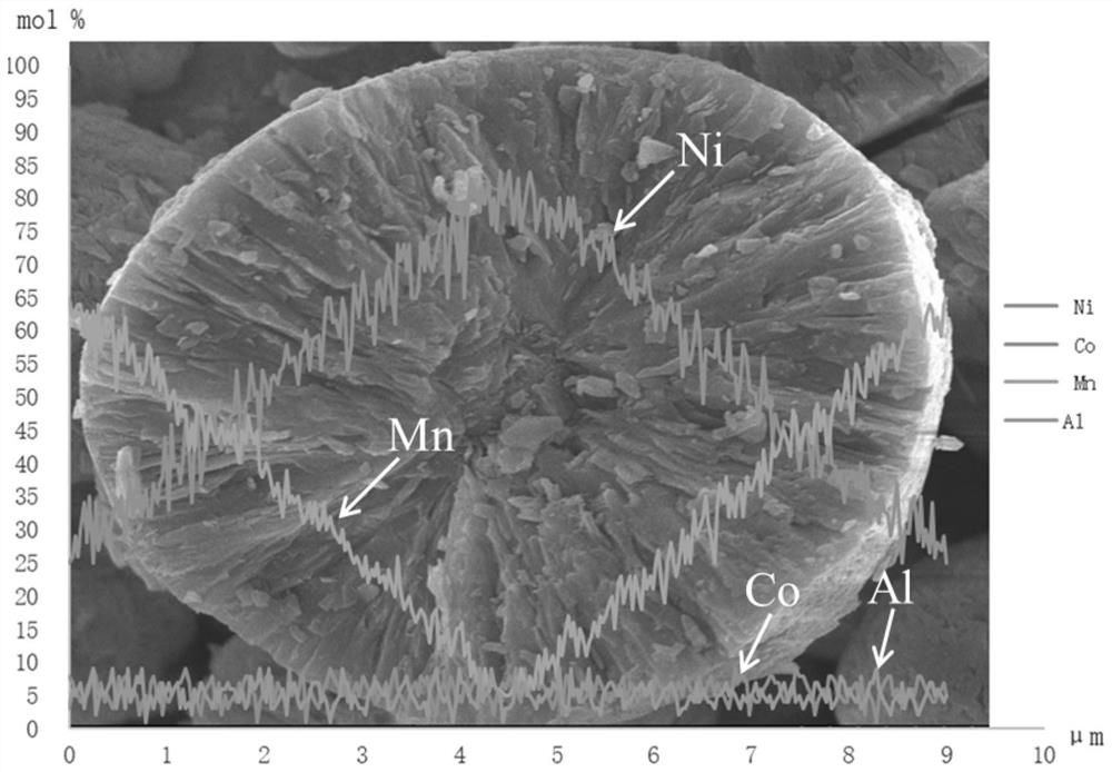 NCMA quaternary gradient material and preparation method thereof