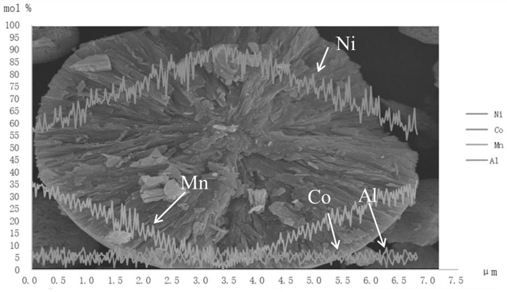 NCMA quaternary gradient material and preparation method thereof